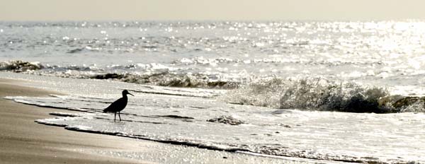 DSC_0291-2a