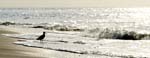 DSC_0291-2a
