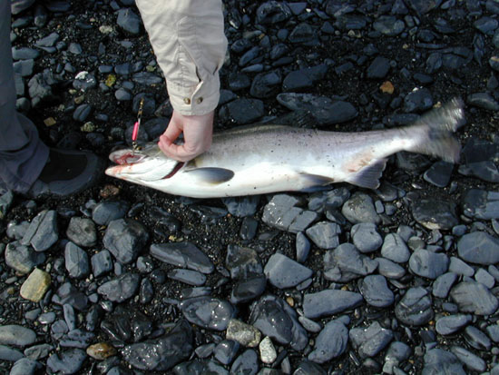 AK2003-23