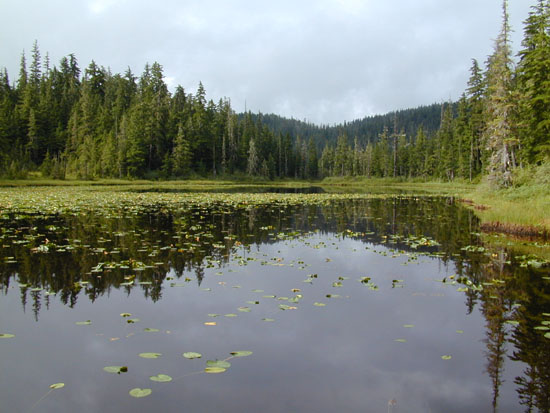 AK2003-29
