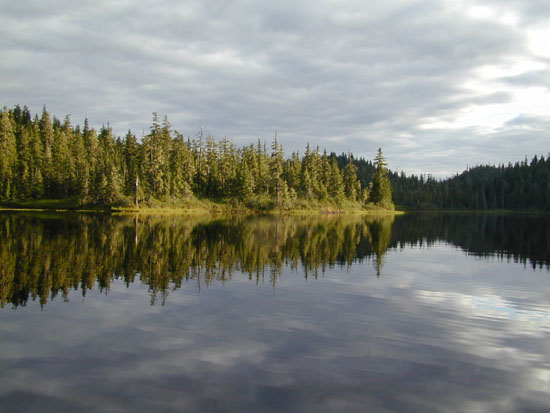 AK2003-38