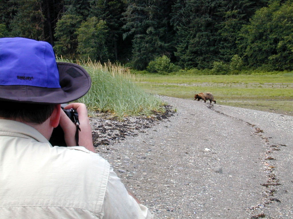 Russ photographing bear at Pack Creek