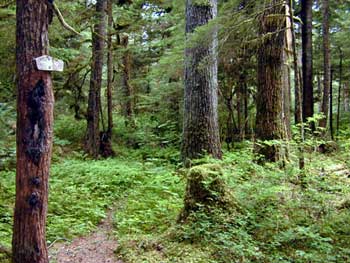 The trail marker was missing on the trail... go figure.