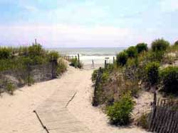 The Beach