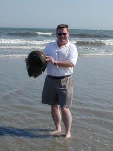 Horseshoe Crab