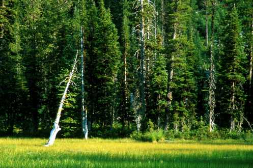 Enchantments08