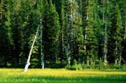 Enchantments08