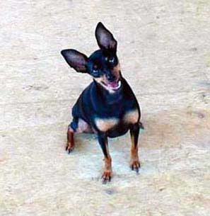 Hi, my name is Little Bit