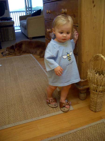 2005- In Walker's Shoes