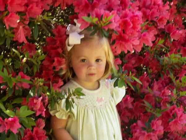 2006-In Azaleas