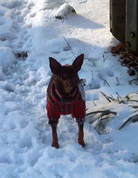 firstsnowbittybit