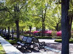 Charleston Waterfront Park