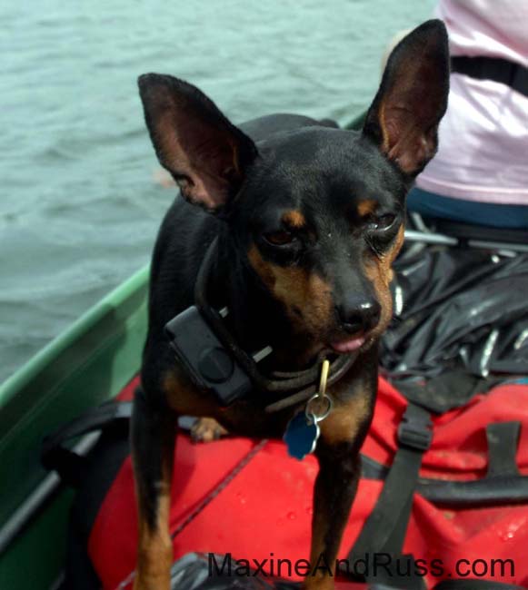 ShenandoahCanoeTripDay2 (10)