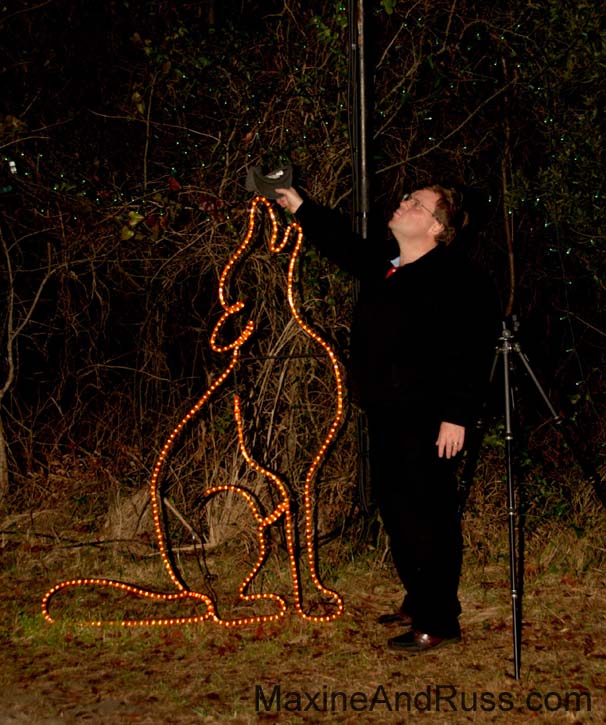Christmas Eve - James Island County Park (10)