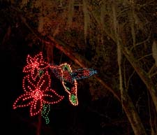Christmas Eve - James Island County Park (6)