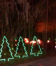 Christmas Eve - James Island County Park (9)