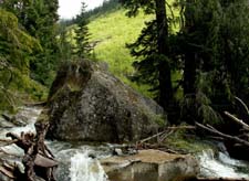 Mount Rainier June 2007 (012)