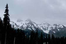 Mount Rainier June 2007 (016)