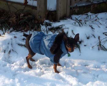 first snowlittlebit