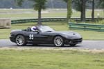 Viper