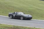 Viper