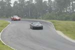 Viper